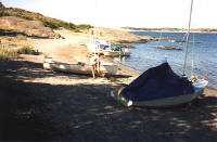 Image11.jpg (46642 byte)