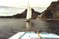 Image1.jpg (48637 byte)