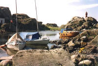 Image5.jpg (61063 byte)