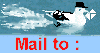 http://gb6306.web04.talkactive.net/blogfiles/blog.wayfarerjoller.dk/12143069252e8a291db8.gif